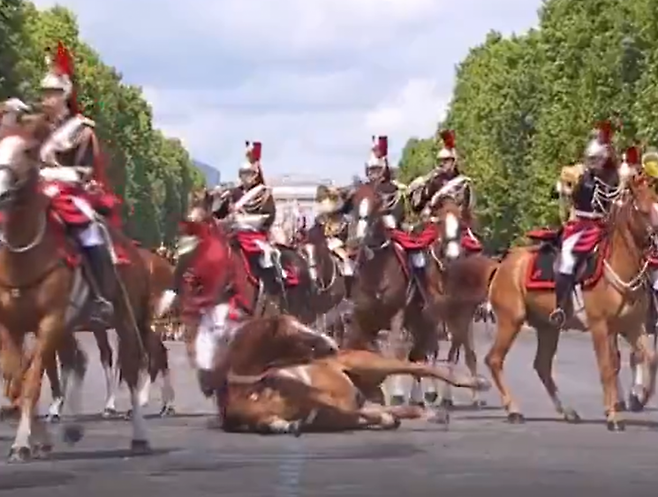 프랑스 독립기념일 군사 행진에서 말 한 마리가 미끄러져 넘어지는 장면. 프랑스 BFMTV 보도화면