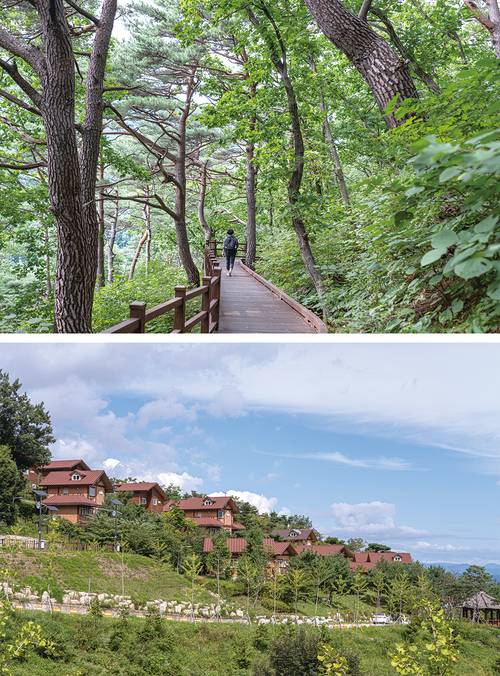 경북 영주 국립산림치유원