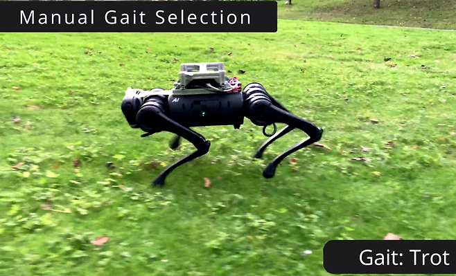 영국 연구팀이 동물의 보행에서 영감을 받아, 지형에 따라 스스로 걸음을 조절하는 네 발 로봇을 개발했다. 이 로봇은 풀밭, 자갈길, 진흙 등 다양한 바닥에서도 넘어지지 않고 자연스럽게 걸을 수 있다. (영상= 네이처 머신 인텔리전스)