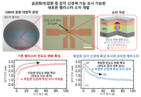 감각 신경계의 습관화 및 민감화 기능 모사가 가능한 새로운 멤리스터 소자 실물과 구조(위). 기존 멤리스터의 단순한 전도도 변화 특성과 개발된 멤리스터의 복잡한 전도도 변화 특성(아래). KAIST 제공