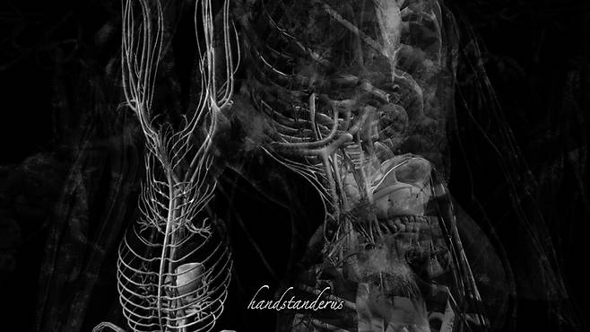 염지혜 작가의 영상작품 ‘물구나무종 선언’(The Manifesto of Handstanderus, 2021)의 한 대목. 영상은 울창한 숲속 나무들 사이에서 물구나무선 한 사람의 모습으로 시작해, 인체의 뼈를 여러 각도로 비추는 흑백의 엑스선 이미지로 바뀐다. 염지혜 작가 제공