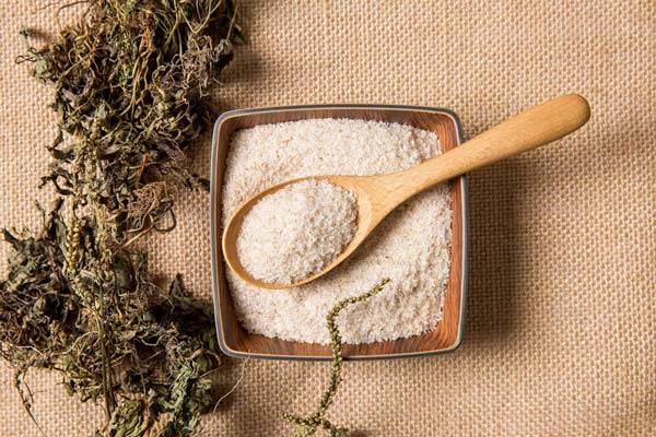 차전자피./사진=클립아트코리아