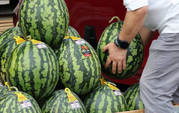 지난 13일 서울 송파구 가락동농수산물도매시장에서 시민들이 수박을 구입하고 있다. [사진=연합뉴스]