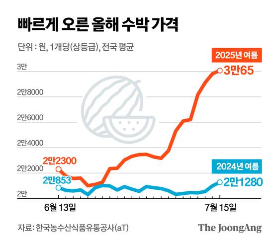 정근영 디자이너