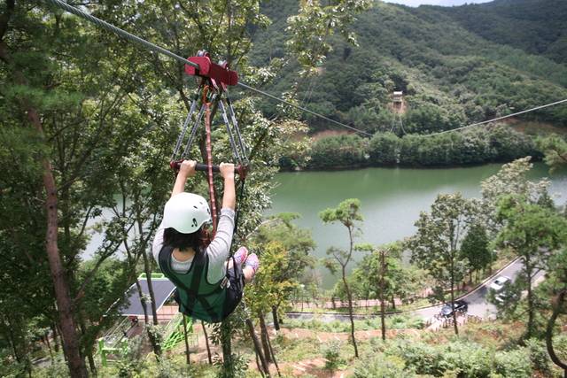 보성 제암산자연휴양림