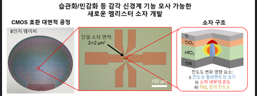 감각 신경계의 습관화 및 민감화 기능 모사가 가능한 새로운 멤리스터 소자의 실물.[KIST 제공]