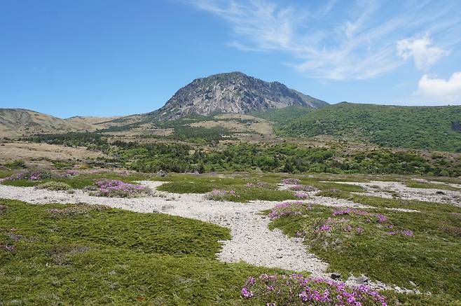 한라산 백록담 외곽 ‘모세왓’ 일대. 유문암질 각력암이 처음으로 대규모 발견된 곳으로 이 일대가 천연기념물로 지정됐다. [국가유산청]