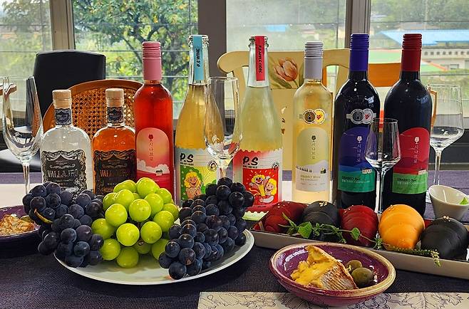 충북 영동 와인