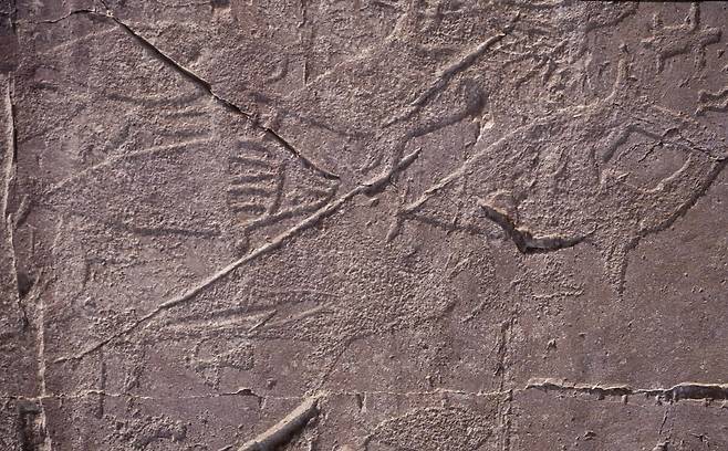 최근 유네스코 세계유산에 등재된 반구천의 암각화 중 반구대 암각화를 가까이에서 찍은 모습. 고래모습 등을 확인할 수 있다. 울산시 제공