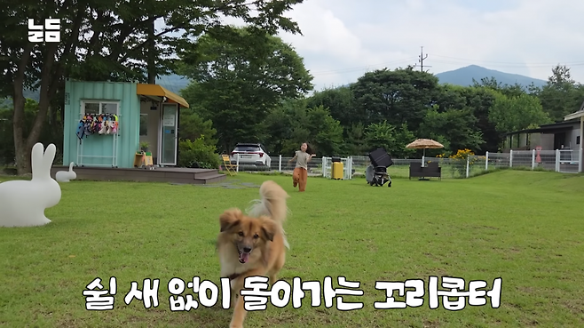 유튜브 채널 ‘남다리맥’