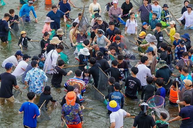 ‘정남진 장흥물축제’의 인기 프로그램 중 하나인 황금물고기 잡기         사진제공｜장흥군