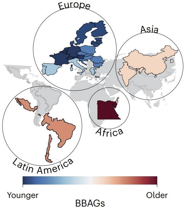 대륙별 생물학적 나이-실제 나이 차이(BBAG) 유럽 국가들은 생물학적 나이(biological age)가 실제 나이(chronological age)보다 젊은 건강한 노화(healthy ageing) 비율이 높았으나, 이집트와 남아프리카공화국 같은 저소득 국가는 생물학적 나이가 실제 나이보다 많은 가속화된 노화(accelerated ageing)가 두드러졌다. 한국·중국·인도·이스라엘 등 연구에 포함된 아시아 4개국은 유럽보다는 노화가 빠르지만, 아프리카나 라틴아메리카보다는 가속화된 노화 정도가 낮았다.[[Nature Medicine / Agustin Ibanez et al. 제공. 재판매 및 DB 금지]