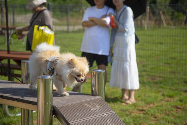 안성맞춤랜드 같이파크. /경기관광공사 제공