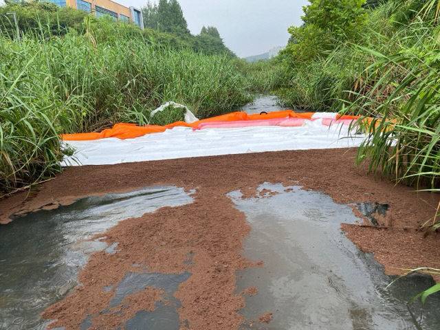 방재 작업 중인 모습 (사진=대전 유성구청 제공)