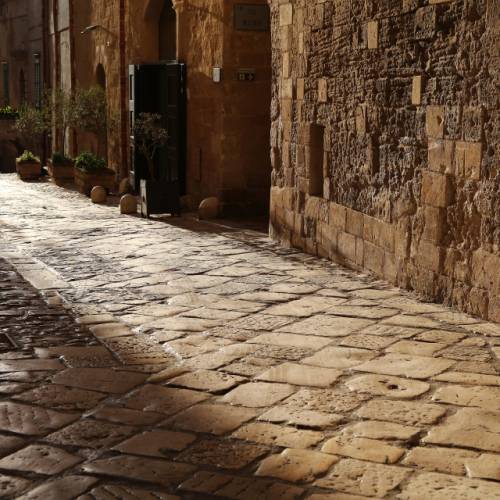 ◇박순희 ‘길’