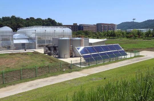 전북 전주시 농촌진흥청 국립농업과학원 내 복합열원을 적용한 온실 3중 열병합발전 시스템 실증 시험 현장. 한국기계연구원 제공