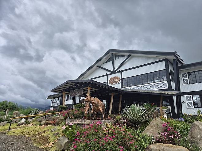 사진=리칼도스(Rikardo’s)