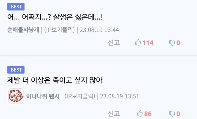 Screenshot_20250716_085615_Brave.jpg 흉포한 육식동물들에게 포위당한 초식동물 무리