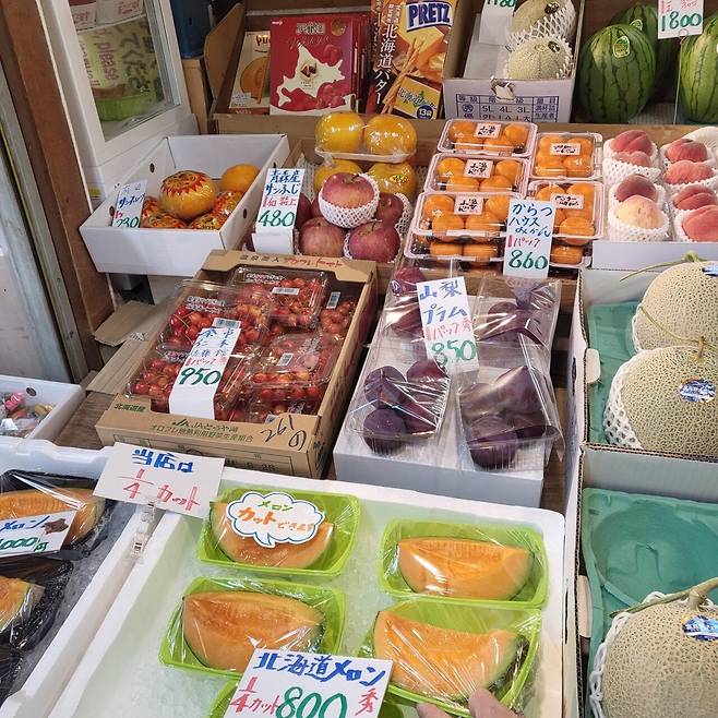 KakaoTalk_20250716_152539126.jpg 펨붕이 혼자 급 떠난 삿포로 여행