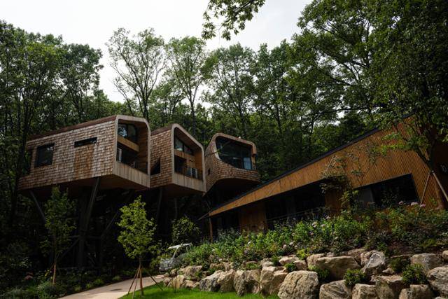 서울 노원구 자연휴양림 '수락휴' 내에 있는 트리하우스. 철골 구조 위에 나무 집을 설치했다.