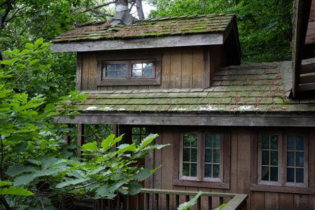 경기 평택시 '트리하우스'의 '톰소여'.