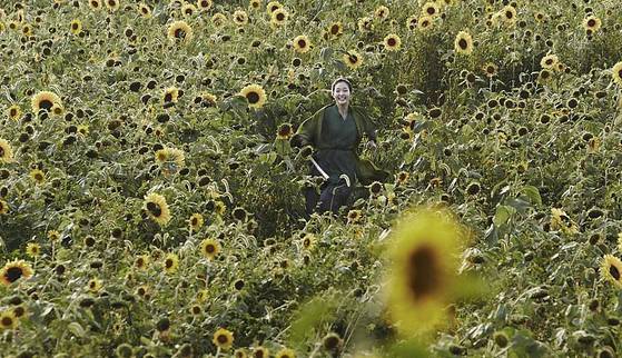 '협녀, 칼의 기억'에서 배우 김고은이 훈련하던 해바라기밭. [사진 전북 페이스북]