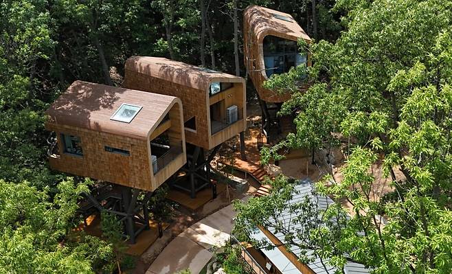 /사진=서울시 제공