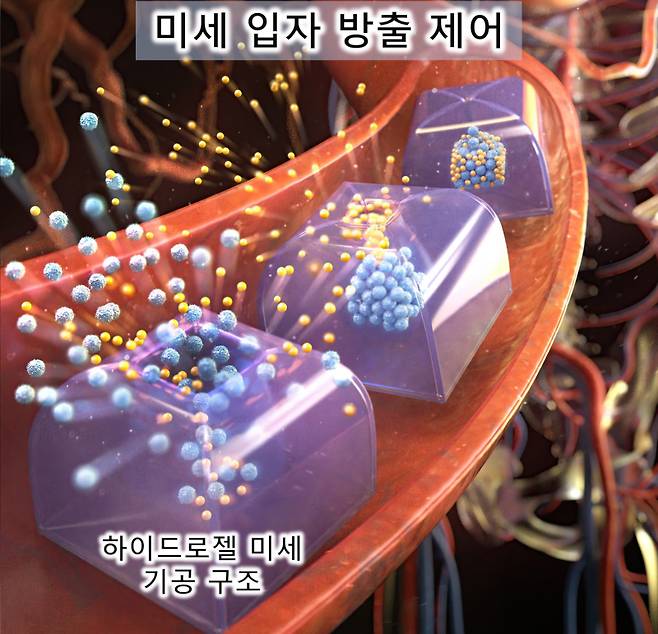 환경 반응 하이드로젤 미세 기공 제어를 통한 단계적 미세 입자 방출. 면 기반 접힘을 활용한 하이드로젤 미세 기공 구조 제어 기술을 하이드로젤의 환경 반응 특성과 결합해, pH 등 외부 자극에 따른 단계적 미세 입자의 방출을 구현했다. 이를 통해 약물이 한 번에 방출되는 기존 방식의 한계를 넘어서, 입자 기반 약물을 정밀하게 단계적으로 방출할 수 있는 해결책을 제시했다. 한국연구재단