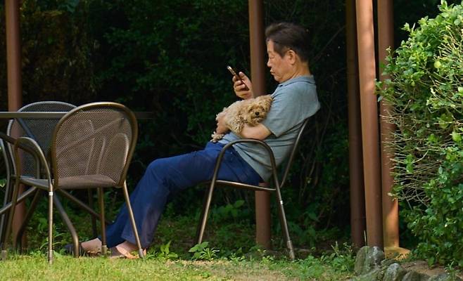 바비는 몰티즈와 푸들의 교배종인 말티푸이다. 이재명 대통령 인스타그램