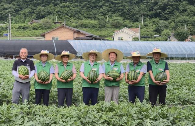 경북 봉화군 재산지구 이모작 공동영농 참여 농가들이 수박을 들고 환하게 웃고 있다. 경북도청 제공