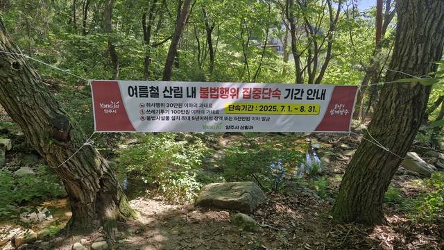 양주시가 여름 휴가철을 맞아 계곡과 산림을 찾는 방문객이 늘어남에 따라 오는 8월 31일까지 산림 내 불법행위에 대한 집중단속을 실시한다. 양주시 제공