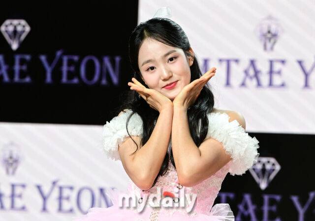 김태연 / 마이데일리