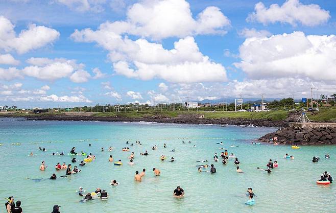 판포포구 스노클링