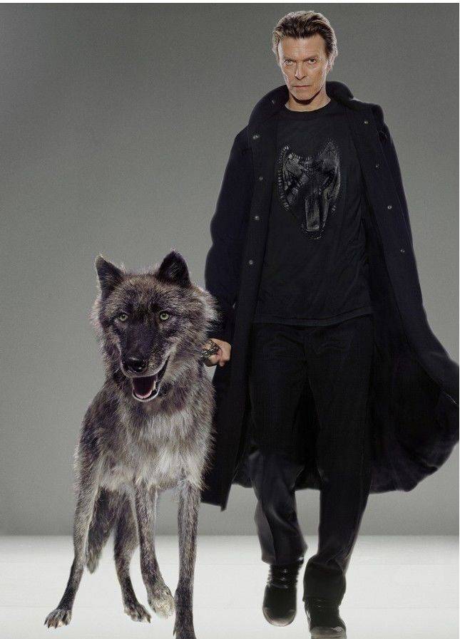 DAVID BOWIE, Natural Villians, New York, 2002 *재판매 및 DB 금지