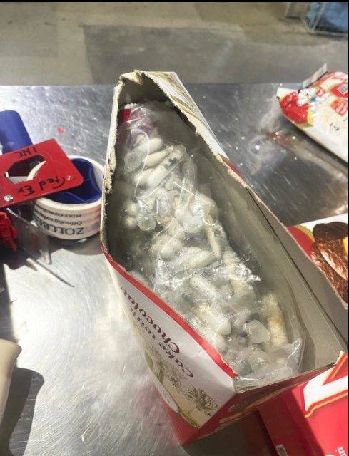 [서울=AP/뉴시스] 독일 세관 당국은 초콜릿 스펀지 케이크 박스 안에 숨겨져 있던 새끼 타란튤라 1500마리를 발견했다. (사진=AP통신 캡처) 2025.07.15 *재판매 및 DB 금지