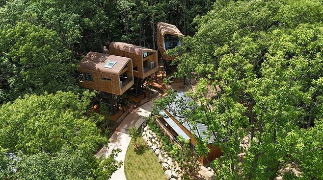 [서울=뉴시스] 트리하우스. 2025.07.16. (사진=서울시 제공) *재판매 및 DB 금지