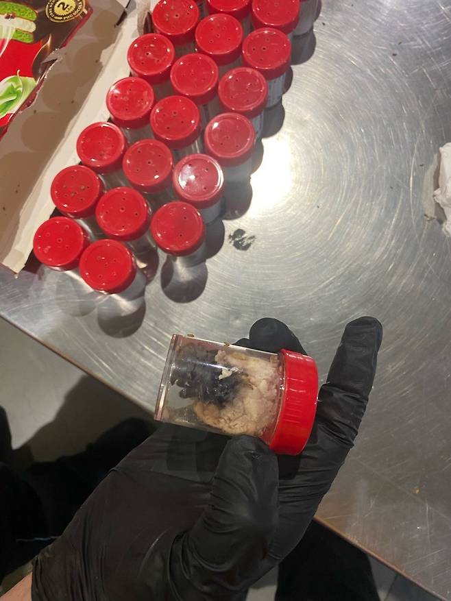 적발된 타란튤라 1,500마리 [독일 쾰른 세관 제공]