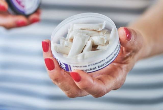 니코틴 파우치 제품 사진