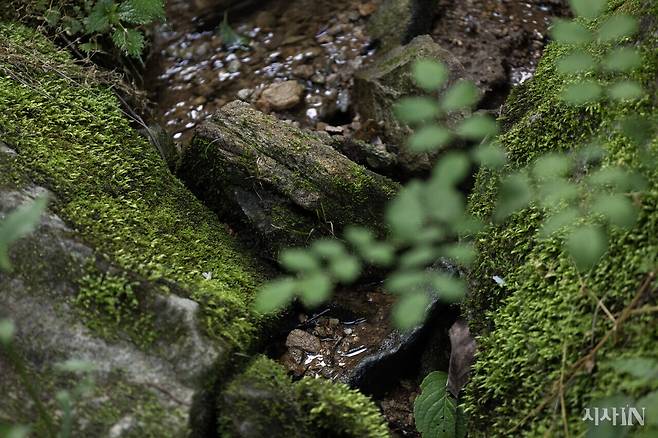 산아책방 인근의 냇가 바위 틈 사이로 흐르는 물. ⓒ시사IN 박미소
