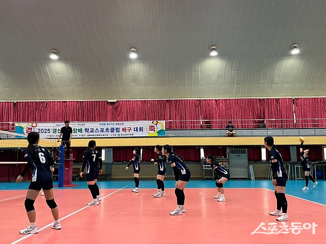 하양여고 배구부 ‘양원걸스’의 경기 모습. 사진｜한연서 학생기자
