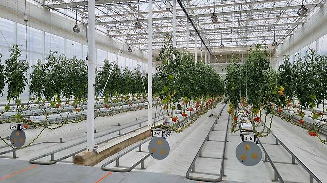 한국기계연구원이 운영 중인 온실 실증시설  [촬영 박주영]