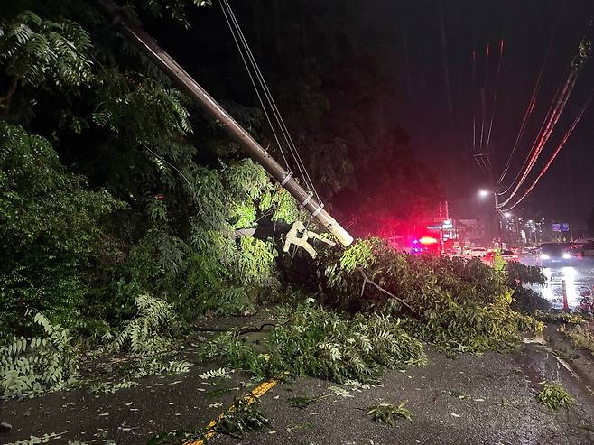 지난 16일 오후 8시께 충북 청주시 흥덕구 옥산면의 한 도로에서 폭우에 전봇대가 쓰러져 소방대원들이 복구작업을 하고 있다. (청주서부소방서 제공. 재판매 및 DB금지)2025.7.17/뉴스1