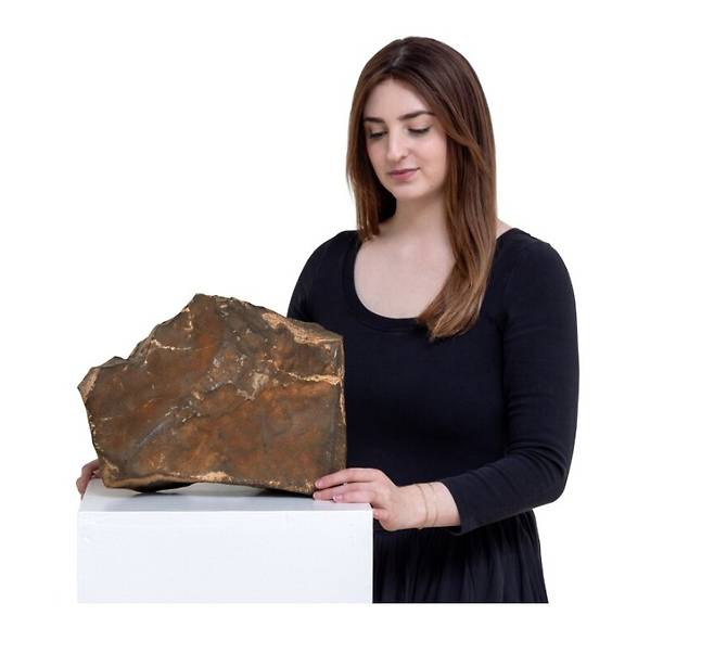 74억원에 낙찰된 화성 운석(소더비 홈페이지)