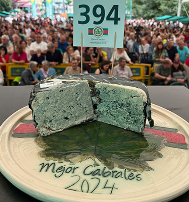 스페인의 카브랄레스 치즈가 경매에서 4만2232달러에 낙찰돼 기네스 세계기록을 세웠다. 기네스 세계기록 홈페이지