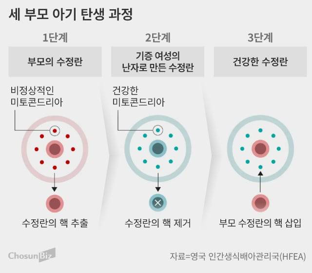 그래픽=손민균