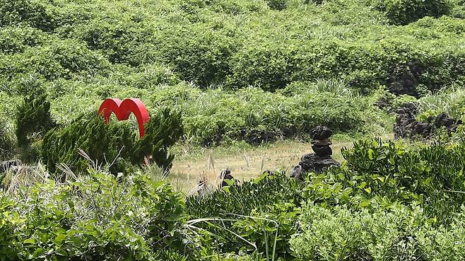 섬 전체를 둘러싸고 있는 해안도로를 걷다보면 만나는 풍경. 박미향 기자
