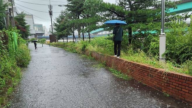 서울 관악구 도림천 인근 인도에 물웅덩이를 피해 담장 위를 걷는 시민. 사진 장종우 기자