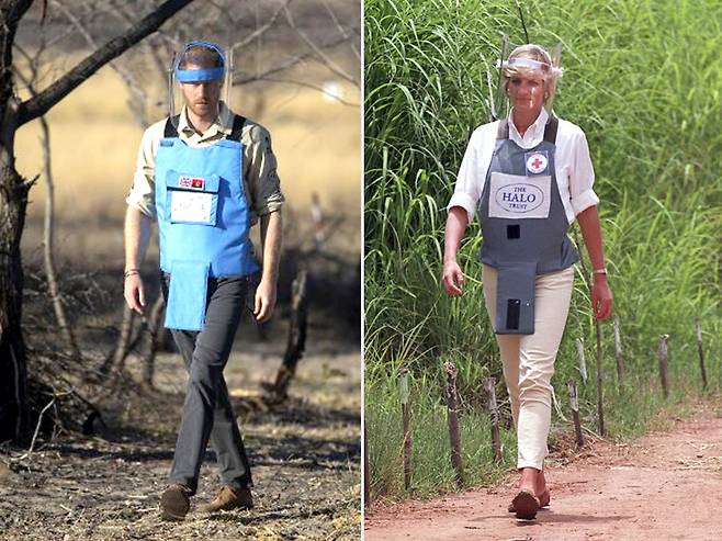 영국의 해리 왕자가 지난 16일(현지시간) 앙골라 남부 쿠안도주 쿠이토 쿠아나발레에서 지뢰 제거 비영리단체 헤일로트러스트와 함께 지뢰밭을 걷고 있다. 오른쪽 사진은 해리 왕자의 어머니 고(故) 다이애나비가 생전 앙골라 지역 지뢰 매설 지대를 걷고 있는 모습. AP=연합뉴스