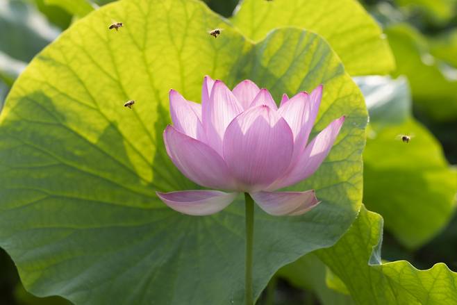 윤순영 이사장 촬영