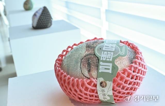 '만나서, 반가워'전 김명종 작가의 ‘프루티 헤드 시리즈’. 홍기웅기자